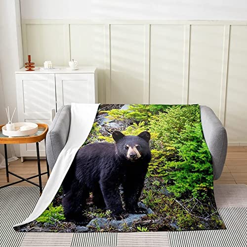 Kuscheldecke 180x200 Schwarzbär, 3D Gedruckte Flanell Fleecedecke Wald Weiche und Warme Wohndecke, Decke als Sofadecke, Tagesdecke Wolldecke für Kinder Erwachsene von RAMOTE