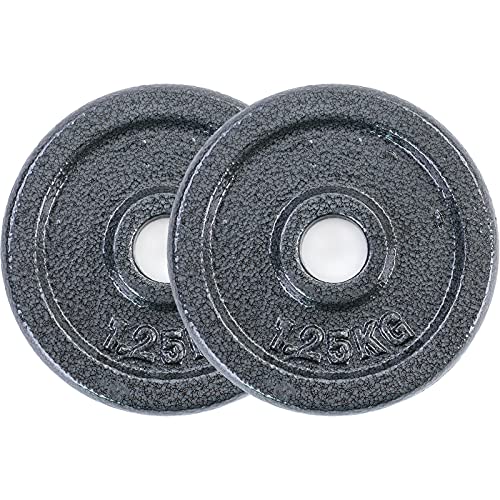 RAMROXX 2,5 kg Hantelscheiben Set 2x1,25 kg Gusseisen Hantel Gewicht versiegelt 28mm von RAMROXX