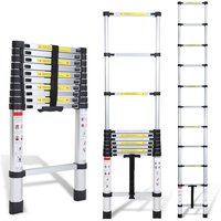 Randaco Teleskopleiter Alu Leichtgewicht Rutschfester Anlegeleiter 3,8m Silber Multifunktionsleiter Mehrzweckleiter Ausziehbare Leiter 15 Stufe von RANDACO