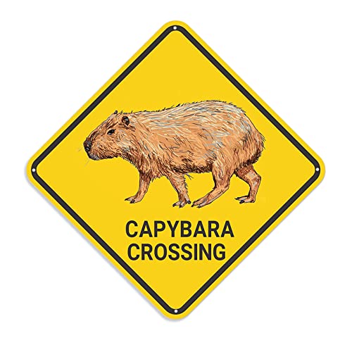 Capybara Crossing Schild, Capybara-Schild, Capybara-Dekor, Capybara-Geschenk, lustige Tier-Wanddekoration für Zuhause, Bauernhof, hochwertiges Metallschild, 30,5 x 30,5 cm von RANG