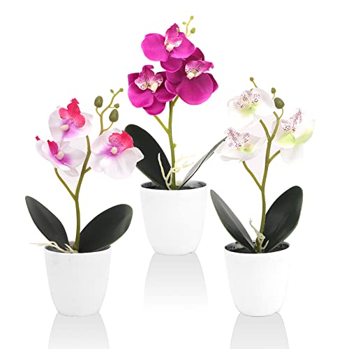 RANJIMA 3 Stück Künstliche Orchideen, Künstliche Orchideen im Topf, Kunstblumen Blumendeko für Home Deko,kunstblumen wie echt für Tischdekoration zu Hause Hochzeit Dekoration Wohnung Modern von RANJIMA