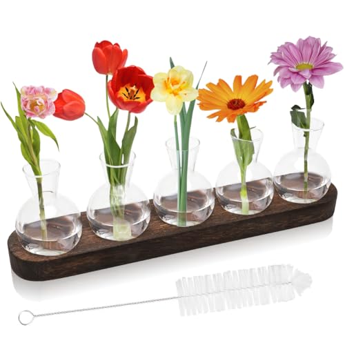 RANJIMA Pflanzen Hydroponik Glas Vasen, Blumenvase Vintage Kleine Vasen für Tischdeko, Blumenvasen Set, Hydrokultur Pflanzen Terrarium Glas Vase mit Hölzernen Tablett für Hause Wohnzimmer Büro Deko von RANJIMA