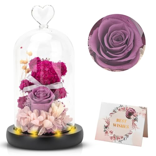 RANJIMA Ewige Rose Bär im Glas, Geburtstagsgeschenk für Frauen, Geschenke für Frau, Rose Bär in Einer Glaskuppel mit LED Licht für Frauen Freundin Frau Oma um Weihnachten Geburtstag Jahrestag (Lila) von RANJIMA