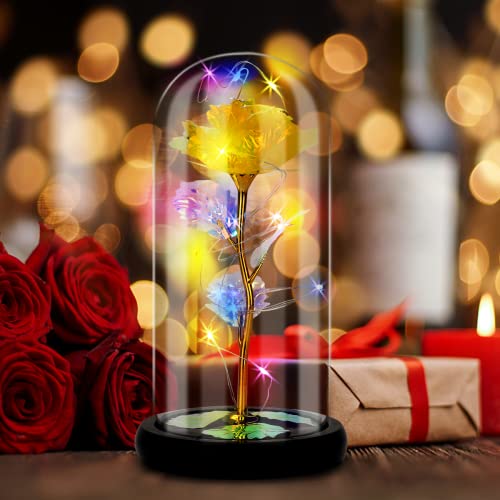 RANJIMA Ewige Rosen Die Schöne und das Tier Rose Kit, Schönheit und das Biest Rose In Glas kuppel LED Lichter Künstliche Blumen Geschenke für Freundin Frauen Mama Geschenk zum Valentinstag Geburtstag von RANJIMA