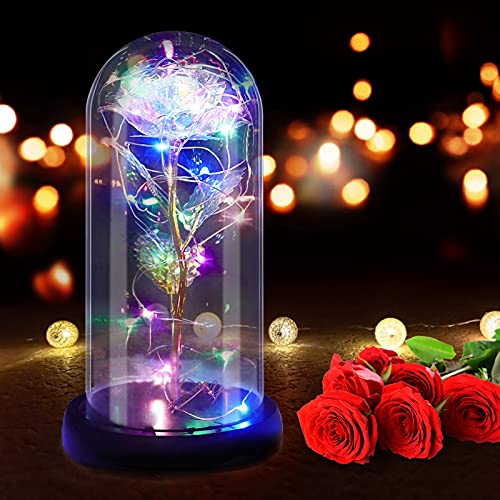 RANJIMA Ewige Rosen Die Schöne und das Biest, Ewige Rose im Glas kuppel LED Lichter Künstliche Blumen mit Geschenkbox, Geburtstag Verlobungs Geschenke für Frauen Freundin Oma von RANJIMA