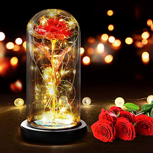 RANJIMA Ewige Rose, Die Schöne und das Biest Ewige Rose, Geschenk zum Muttertag Mama, Rose in Einer Glaskuppel mit LED Licht für Frauen Freundin Frau Valentinstag Jahrestag Verlobungs Geburtstag von RANJIMA