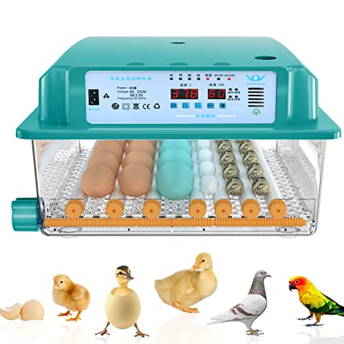 Brutautomat Vollautomatisch, Brutmaschine Vollautomatisch Hühner, Hühner Brutkasten Hühner mit Automatischem Rotationssystem und Temperaturkontrolle,Egg Incubator Brutmaschine, für 16 Wachteleier,Eier von RANRAO