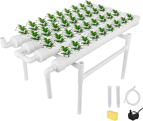 RANZIX Hydroponics Growing System mit 36 Pflanzenplätzen 1 Schicht, Hydroponische Gartenarbeit System Grow Kit, Pflanzenanbau-Systeme für Kräuter,Obst und Gemüse (A-36 Löcher) von OBLLER