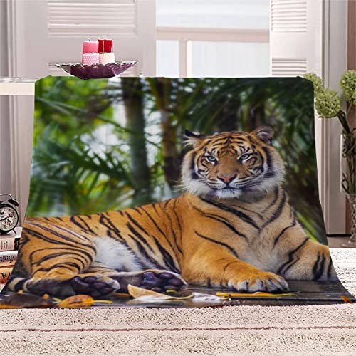 RAOHA 3D Bengalischer Tiger Flauschige Kuscheldecke 150x200 cm Grüner Dschungel Sofaüberwurf Decke Winter Warme TV Decke Mikrofaser Flanell Wohndecke Tagesdecke Waschbar Sofadecke Couchdecke von RAOHA