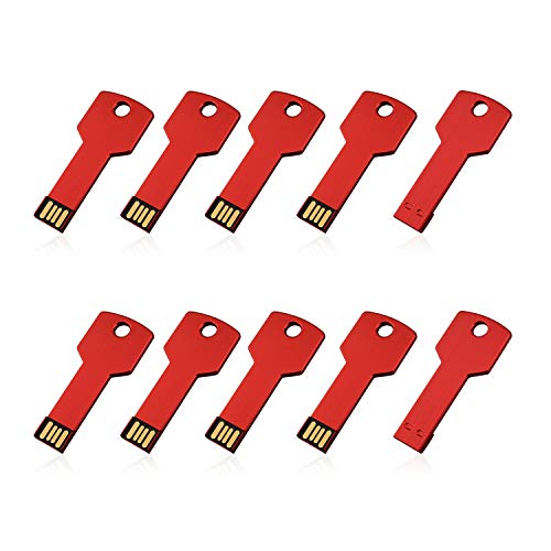 USB-Flash-Laufwerk, 2 GB, 2 G, Metall, Schlüssel-Design, USB 2.0, Rot, 10 Stück von RAOYI