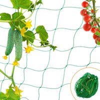 Gartennetz, Schutznetz für Gemüse, Obst, Pflanzen und Teiche, vogel- und katzenabweisendes Gartennetz – 1,8 x 2,7 m Gartennetz, Schutznetz für Gemüse, Obst, Pflanzen und Teiche, vogel- und katzenabweisendes Gartennetz – 1,8 x 2,7 m von RAPANDA