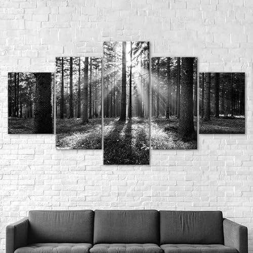 3D Wandaufkleber Kunst Malerei Schwarz-Weiß-Waldbäume Sonnenstrahlen Szene,xxl bilder leinwanddrucke 5 panels,5 stück leinwand bilder 150x80cm 3D Wandaufkleber Kunst Malerei Schwarz-Weiß-Waldbäume Sonnenstrahlen Szene,xxl bilder leinwanddrucke 5 panels,5 stück leinwand bilder 150x80cm von RAPSANI