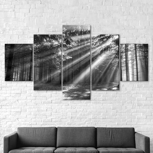 5 teilige leinwandbilder Wald Sonnenstrahlen Sonnenschein Landschaft Kunstdrucke Vlies Leinwandbild,Wandkunst,Wohnzimmer Schlafzimmer Wand Dekoration,mit rahmen xxl bilder 200x100cm 5 teilige leinwandbilder Wald Sonnenstrahlen Sonnenschein Landschaft Kunstdrucke Vlies Leinwandbild,Wandkunst,Wohnzimmer Schlafzimmer Wand Dekoration,mit rahmen xxl bilder 200x100cm von RAPSANI
