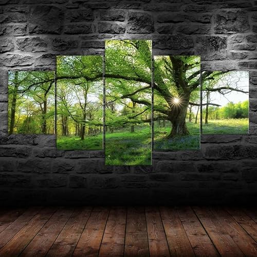 5 teiliges wandbild Grüner Wald Bäume Natur Regenwald Sonnenschein Strahl leinwand wandkunst,leinwand wanddeko wohnzimmer,leinwanddruck 5 teilig bilder wohnzimmer modern groß,mit rahmen,xxl 150x80cm 5 teiliges wandbild Grüner Wald Bäume Natur Regenwald Sonnenschein Strahl leinwand wandkunst,leinwand wanddeko wohnzimmer,leinwanddruck 5 teilig bilder wohnzimmer modern groß,mit rahmen,xxl 150x80cm von RAPSANI