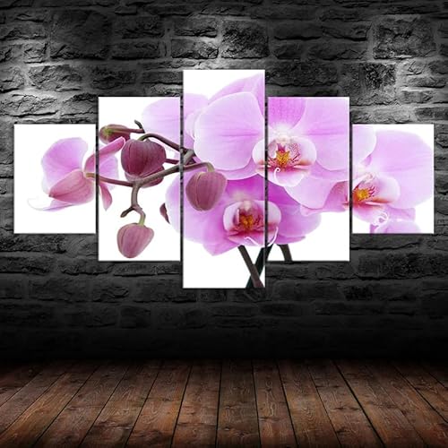 5 teiliges wandbild Rosa Orchidee Blume Auf Weißem Hintergrund 5 stück leinwand wandkunst,leinwand wanddeko wohnzimmer,leinwanddruck 5 teilig bilder wohnzimmer modern groß,mit rahmen,xxl 150x80cm 5 teiliges wandbild Rosa Orchidee Blume Auf Weißem Hintergrund 5 stück leinwand wandkunst,leinwand wanddeko wohnzimmer,leinwanddruck 5 teilig bilder wohnzimmer modern groß,mit rahmen,xxl 150x80cm von RAPSANI