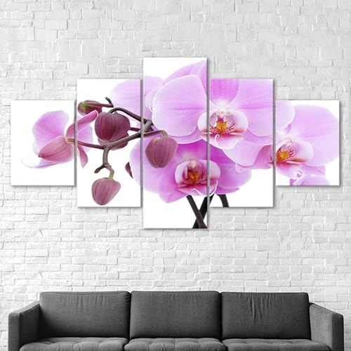 5 teiliges wandbild Rosa Orchidee Blume Auf Weißem Hintergrund 5 stück leinwand wandkunst,leinwand wanddeko wohnzimmer,leinwanddruck 5 teilig bilder wohnzimmer modern groß mit rahmen,xxl 100x55cm 5 teiliges wandbild Rosa Orchidee Blume Auf Weißem Hintergrund 5 stück leinwand wandkunst,leinwand wanddeko wohnzimmer,leinwanddruck 5 teilig bilder wohnzimmer modern groß mit rahmen,xxl 100x55cm von RAPSANI