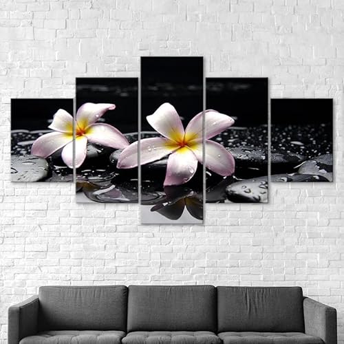 Kunstdrucke 5 Teilig Bilder Leinwand,leinwandbilder wohnzimmer dekoration Wanddekoration Plumeria Rubra Blumen Wassertropfen Zen Stone Spa,Bilder auf Leinwand 5 teilig Poster,wandbild xxl 100x55cm Kunstdrucke 5 Teilig Bilder Leinwand,leinwandbilder wohnzimmer dekoration Wanddekoration Plumeria Rubra Blumen Wassertropfen Zen Stone Spa,Bilder auf Leinwand 5 teilig Poster,wandbild xxl 100x55cm von RAPSANI