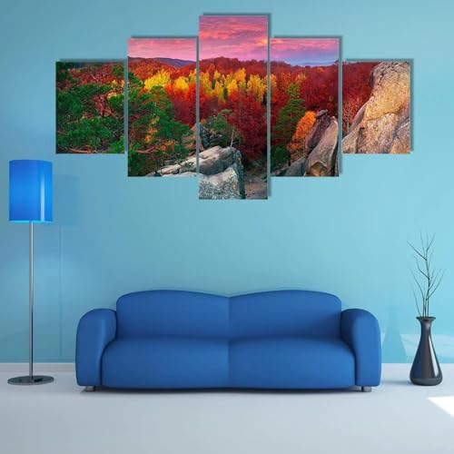 RAPSANI Bilder Wandbild 150x80cm Leinwandbild 5 TLG Kunstdruck Dovbush Rocks Bubnyshche modern Wandbilder XXL Wanddekoration Design Wandkunst 5 Stücke Leinwand Wohnzimmer Dekoration von RAPSANI