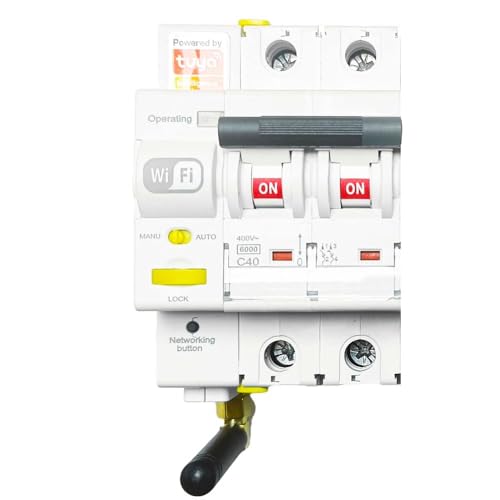 RASMACOR – Intelligenter Leitungsschutzschalter WiFi, wiederverwendbar 2P 20A Kurve C 6kA – Schalter mit Fernsteuerung – Kompatibel mit App Tuya Smart – Smart Home – 2-polig 20A von RASMACOR