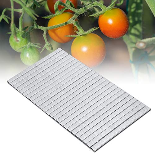 Klammernagel 10000 Stück, 604C Tomato Vine Tapetool Gartentapetool Klammern Heftklammern Astbindung von RASTKY