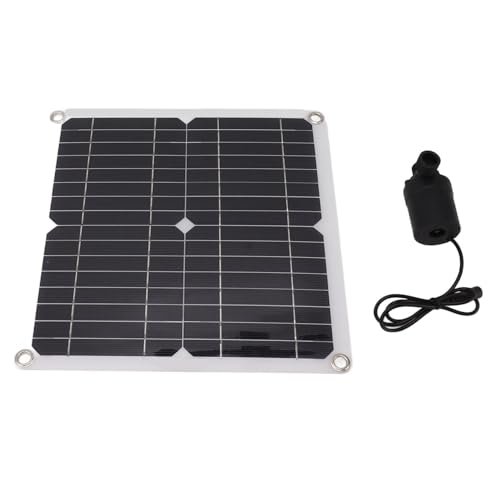 RASTKY 50W Solarwasserpumpe -Kit mit 22W Brunnenpumpe, Batteriekasten und Timing -Controller Energieeffizientes Solarpumpenpumpengärten, Teiche und Brunnen Umweltfreundlich und von RASTKY