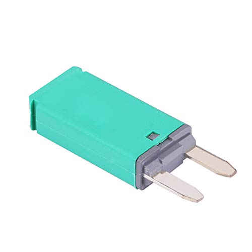 RASTKY Automatische Reset Circuit Breaker Blatt Sicherung für Auto -LKW -Bootsfahrer 30A Grün Überstromschutzschalter Ersatzteile für Kfz Ersatzteile von RASTKY