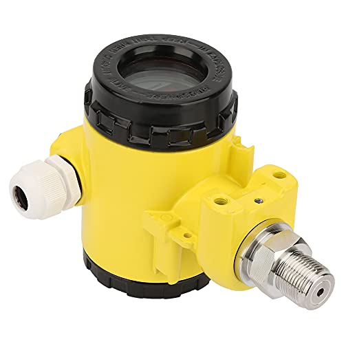 RASTKY Explosionsnachdruckendrucktransmitter Hoher 4-20 MA LCD-Digitaldrucksensor Flüssigkeit oder Gasmessung (Bereich 0~4,0 mPa) von RASTKY