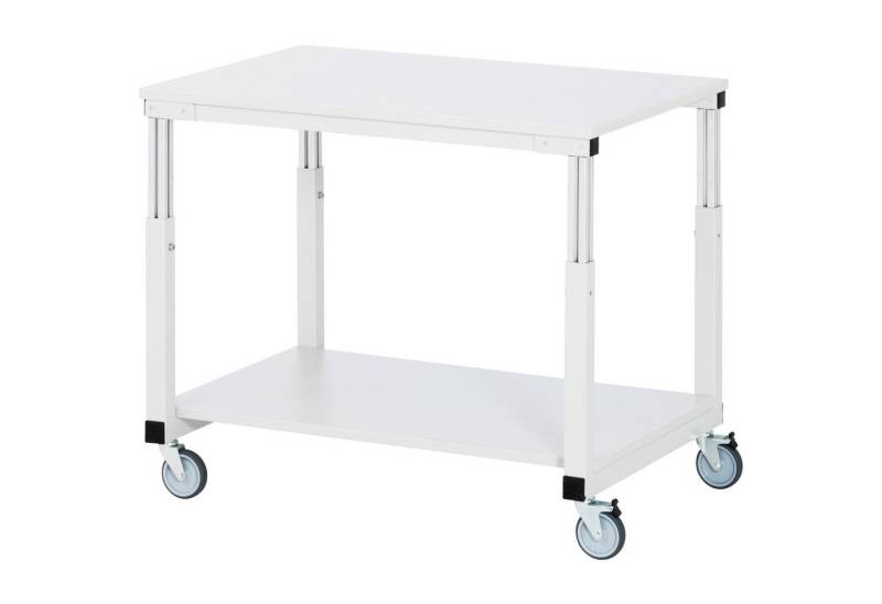 RAU Transportwagen Tischwagen Serie E M-Platte 22mm 1000x700x650-1000mm lichtgrau RAU Transportwagen Tischwagen Serie E M-Platte 22mm 1000x700x650-1000mm lichtgrau von RAU