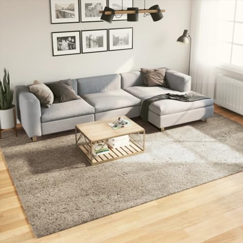 Furniture Home Tools Teppich ISTAN Hochflor Glänzende Optik Beige 240x340 cm von RAUGAJ