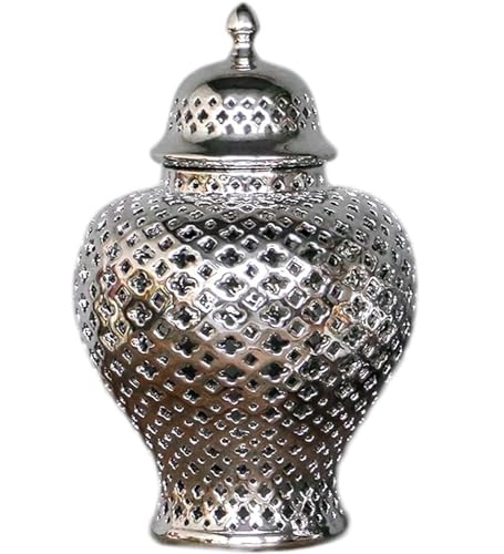 RAUGAJ Dekoratives Glas Ingwer Jar Vase Decor Dekoration Ingwerglas Mit Deckel Hohl Aus Keramikglas Geschnitztes Gitter Dekoratives Tempelglas Ingwerglas Aufbewahrungsglas Aufbewahrt/Silver/16*27.5Cm von RAUGAJ