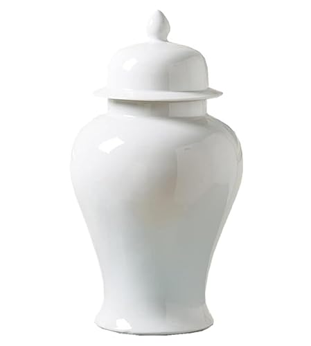 RAUGAJ Dekoratives Glas Ingwer Jar Vase Dekor Dekorative Keramikginger -Glas Vase Mit Deckel Traditionell Weißes Porzellan Großer Tempelglas Ingwer Gläser Aufbewahrungsglas Aufbewahrungsglas/a/20*35Cm von RAUGAJ