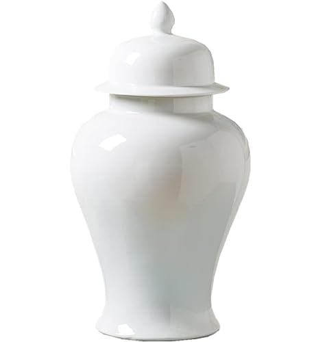 RAUGAJ Dekoratives Glas Ingwer Jar Vase Dekor Keramik Weiße Ingwerglas Mit Deckel Exquisit Schöner Dekorativer Porzellangläser Tempelglas Mit Deckel Ingwer Gläser Aufbewahrung Jar/a/20 * 35Cm von RAUGAJ