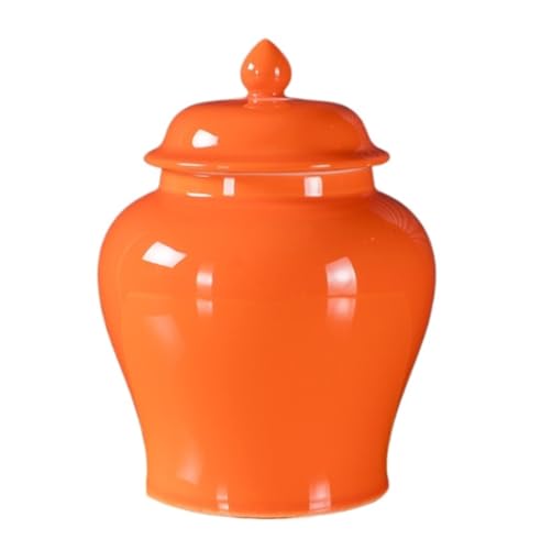 RAUGAJ Dekoratives Glas Ingwer Jar Vase Dekor Moderne Vase Keramik Ingwerglas Mit Deckel Dekorative Blume Vasen Porzellan Tempel Jar Behälter Ingwerglas Aufbewahrungsglas Jar/White/12.7 * 17.9Cm von RAUGAJ