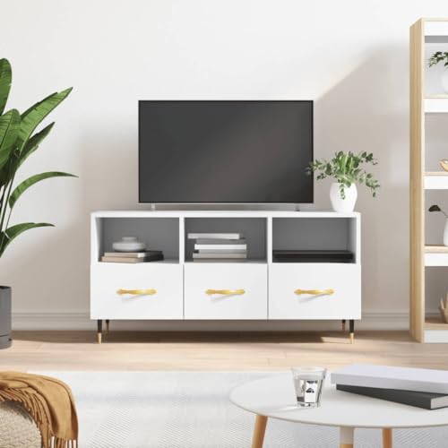 RAUGAJ Furniture Home Tools TV-Schrank, Weiß, 102 x 36 x 50 cm, Holzwerkstoff von RAUGAJ
