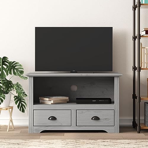 RAUGAJ Furniture Home Tools TV Schrank mit 2 Schubladen BODO Grau 91x43x56 cm Massivholz Kiefer von RAUGAJ