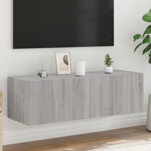 RAUGAJ Furniture Home Tools TV Wandschrank mit LED-Leuchten Grau Sonoma 100x35x31cm von RAUGAJ