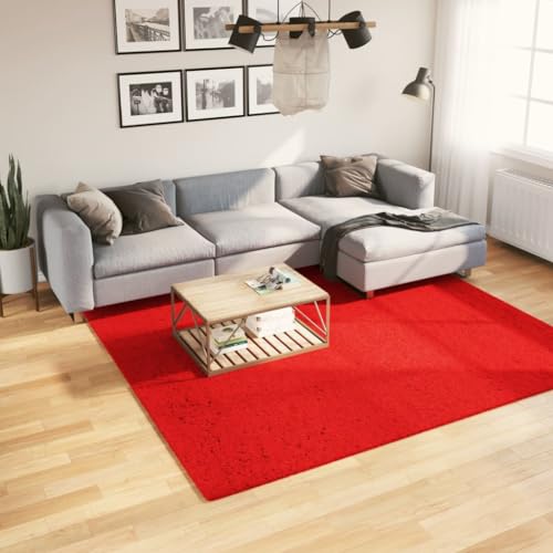 RAUGAJ Furniture Home Tools Teppich, Kurzflor, weich und waschbar, Rot, 240 x 240 cm von RAUGAJ