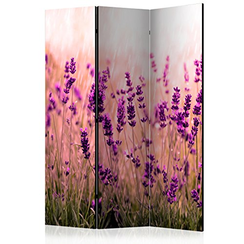 murando Raumteiler Lavendel Natur Wiese Foto Paravent 135x172 cm beidseitig auf Vlies-Leinwand Bedruckt Trennwand Spanische Wand Sichtschutz Raumtrenner Home Office violett von RAUMTEILER / PARAVENT B&D XXL