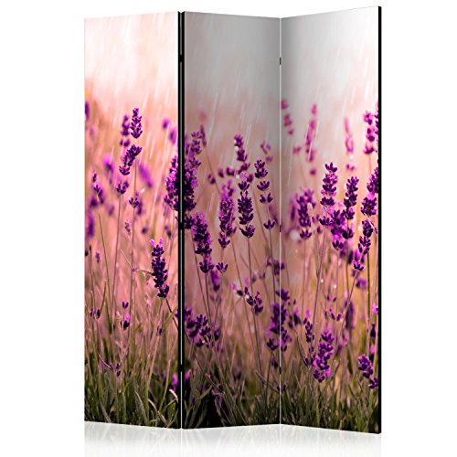 RAUMTEILER/PARAVENT B&D XXL Raumteiler Lavendel Natur Wiese Foto Paravent 135x172 cm beidseitig auf Vlies-Leinwand Bedruckt Trennwand Spanische Wand Sichtschutz Raumtrenner Home Office violett RAUMTEILER/PARAVENT B&D XXL Raumteiler Lavendel Natur Wiese Foto Paravent 135x172 cm beidseitig auf Vlies-Leinwand Bedruckt Trennwand Spanische Wand Sichtschutz Raumtrenner Home Office violett von BIOMBO B&D XXL