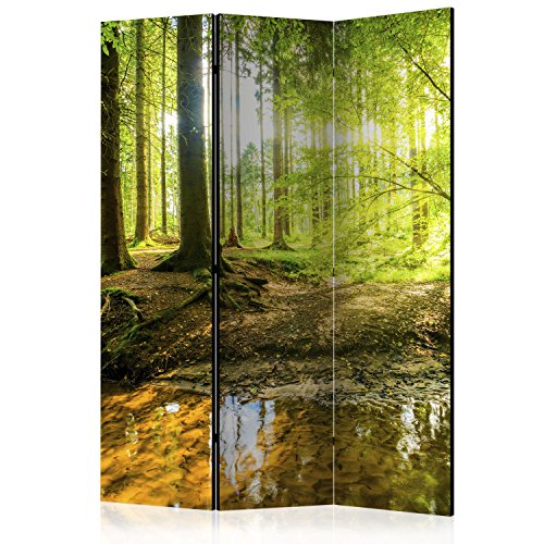 murando Raumteiler Wald Baum Natur Foto Paravent 135x172 cm beidseitig auf Vlies-Leinwand Bedruckt Trennwand Spanische Wand Sichtschutz Raumtrenner Home Office grün c-B-0183-z-b von RAUMTEILER / PARAVENT B&D XXL