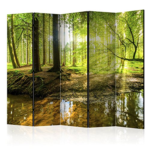 murando Raumteiler Wald Baum Natur Foto Paravent 225x172 cm beidseitig auf Vlies-Leinwand Bedruckt Trennwand Spanische Wand Sichtschutz Raumtrenner Home Office grün c-B-0183-z-c von RAUMTEILER / PARAVENT B&D XXL