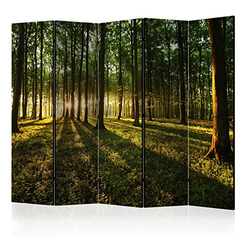 murando Raumteiler Wald Baum Natur Foto Paravent 225x172 cm beidseitig auf Vlies-Leinwand Bedruckt Trennwand Spanische Wand Sichtschutz Raumtrenner grün c-B-0027-z-c von RAUMTEILER / PARAVENT B&D XXL