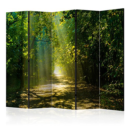 murando Raumteiler Wald Natur Foto Paravent 225x172 cm beidseitig auf Vlies-Leinwand Bedruckt Trennwand Spanische Wand Sichtschutz Raumtrenner grün c-A-0086-z-c murando Raumteiler Wald Natur Foto Paravent 225x172 cm beidseitig auf Vlies-Leinwand Bedruckt Trennwand Spanische Wand Sichtschutz Raumtrenner grün c-A-0086-z-c von BIOMBO B&D XXL