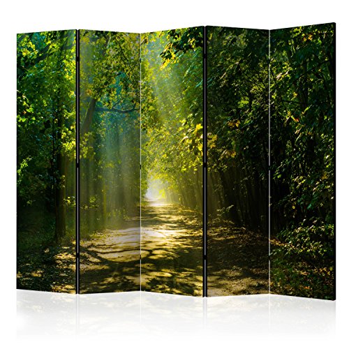 murando Raumteiler Wald Natur Foto Paravent 225x172 cm einseitig auf Vlies-Leinwand Bedruckt Trennwand Spanische Wand Sichtschutz Raumtrenner grün c-A-0086-z-c von RAUMTEILER / PARAVENT B&D XXL