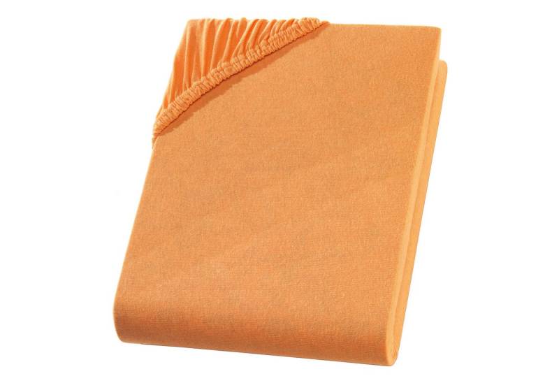 RAVENSBERGER Matratzen Spannbettlaken Premium Spannbettlaken - 97% Baummwolle 3% Ela..., (1 Stück) von RAVENSBERGER Matratzen
