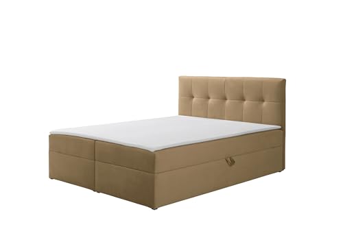 RAVIO Boxspringbett Toronto mit 2 Bettkästen, gepolstertem Kopfteil, Bonellfederkern H3 und Topper, Polsterbett aus Samt mit Stauraum und hohem Liegekomfort (Hellbraun (Amor 4302), 160 x 200 cm) von RAVIO