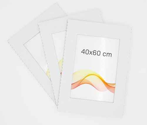 RAWWEST.BIS 3er-Set Rahmenloser 40x60 cm Bilderrahmen Bildhalter Cliprahmen Fotorahmen Kunstglas Plexi gut für Wohnzimmer, Esszimmer, Küche,Fotos Poster viele Größen Rechteckig mit Clips gut. von RAWWEST.BIS