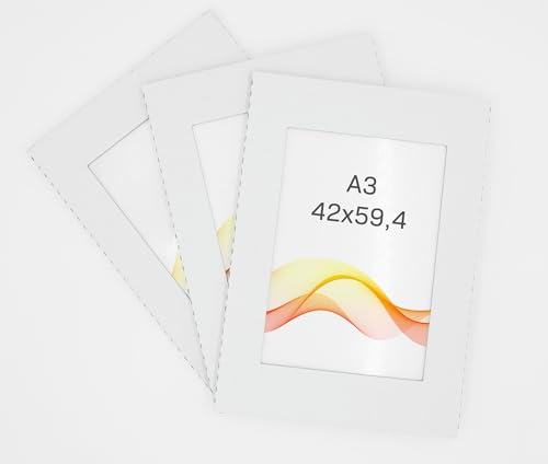 RAWWEST.BIS 3er-Set Rahmenloser A2 42x59,4 cm Bilderrahmen Bildhalter Cliprahmen Fotorahmen Kunstglas Plexi gut für Wohnzimmer, Esszimmer, Küche,Fotos Poster viele Größen Rechteckig mit Clips gut. von RAWWEST.BIS