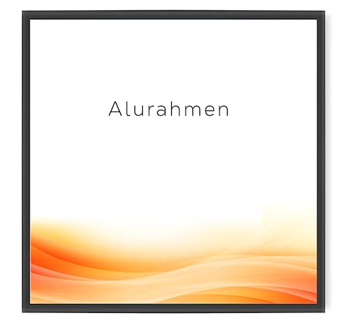 RAWWEST.BIS Alu Bilderrahmen - 30X30cm Plakatrahmen Alurahmen mit Plexiglas Rahmen aus Aluminium für Bilder Poster Fotos und für Puzze Posterrahmen - Fotorahmen, Anthrazit von RAWWEST.BIS