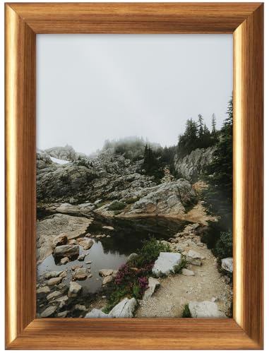 RAWWEST.BIS Holz Bilderrahmen 70x90cm Plakatrahmen Holzrahmen mit Plexi Acrylglas Rahmen aus Holz mit abgeriebener goldener Furnierung für Bilder Poster Fotos Puzzles Posterrahmen Fotorahmen RAWWEST.BIS Holz Bilderrahmen 70x90cm Plakatrahmen Holzrahmen mit Plexi Acrylglas Rahmen aus Holz mit abgeriebener goldener Furnierung für Bilder Poster Fotos Puzzles Posterrahmen Fotorahmen von RAWWEST.BIS